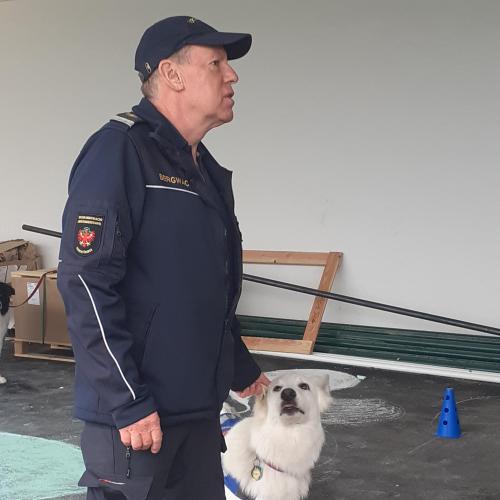 Hundeführer mit Hund