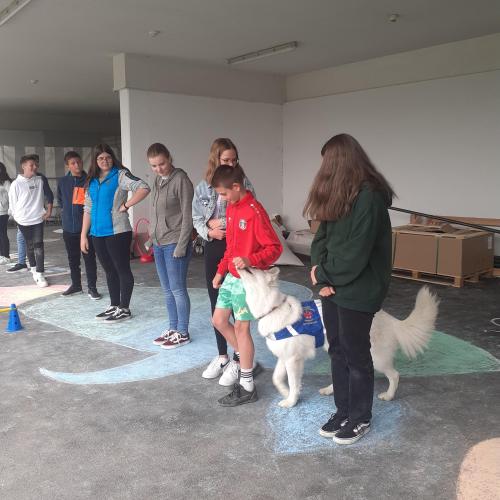 Schülergruppe mit Hund