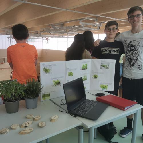 Schüler beim Präsentieren von Projekten