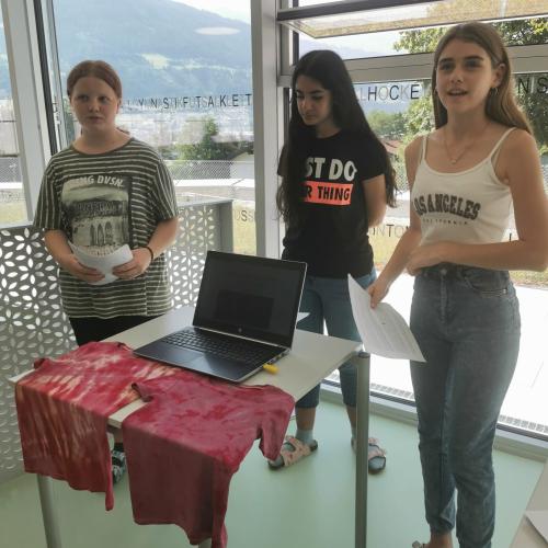 Schüler beim Präsentieren von Projekten