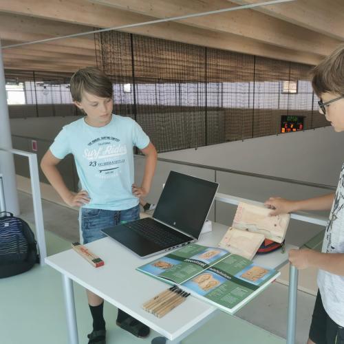 Schüler beim Präsentieren von Projekten