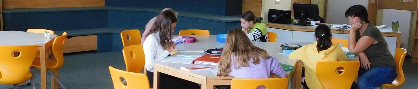 Schülerinnen und Schüler bei der gemeinsamen Erledigungen von Hausübungen in der Bibliothek
