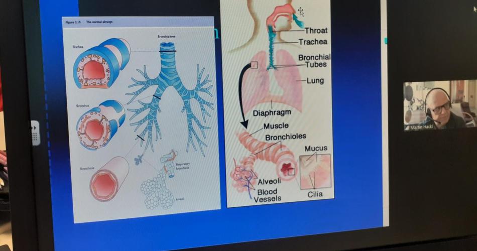 Bild am Computer zu den Atmungsorganen