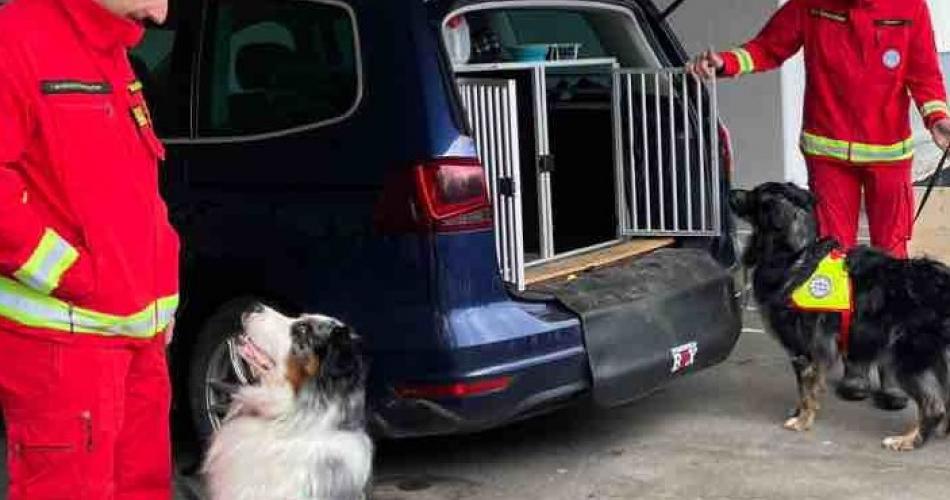 Hundestaffel