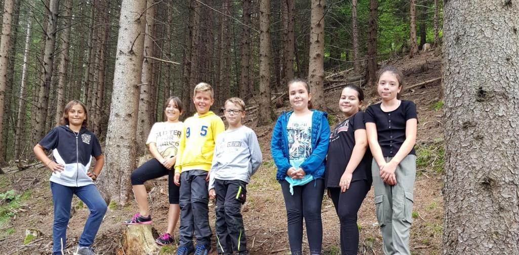 Waldtag 3 Kindergruppe im Wald