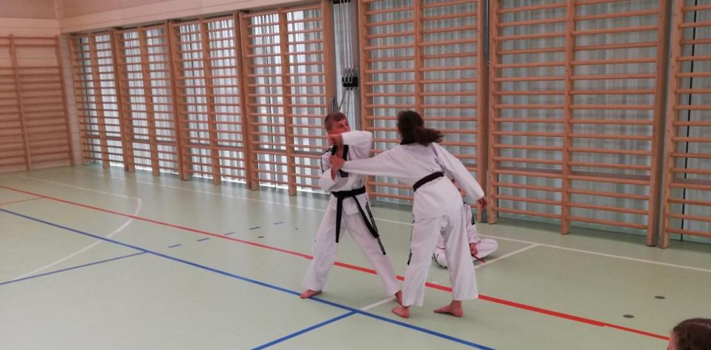 Taekwondo 2 Taekwondo 2