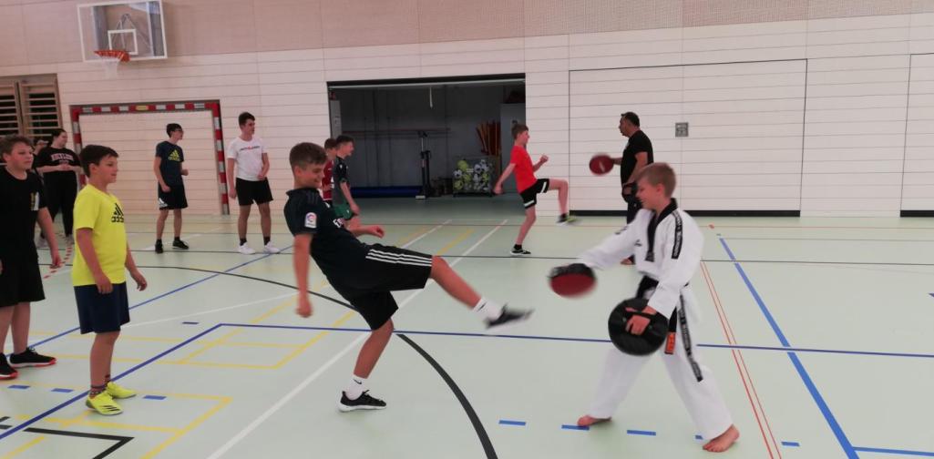 Taekwondo 8 Taekwondo 8